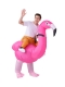 Надувной карнавальный костюм Всадник на фламинго FZ1666