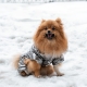 Зимний комбинезон для собак Cody Silver L